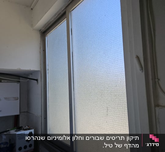 חלון עם רשת נגד יתושים בחדר פנימי